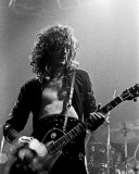 Led Zeppelin, Charlie Auringer, 1975, Olympia Stadium, Detroit, Michigan Photo