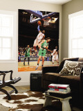 Boston Celtics v New York Knicks: Amar'e Stoudemire and Semih Erden Wall Mural by Lou Capozzola