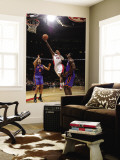 New York Knicks v Toronto Raptors: Sonny Weems and Amar'e Stoudemire Wall Mural by Ron Turenne