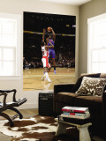 New York Knicks v Toronto Raptors: Amar'e Stoudemire and Amir Johnson Wall Mural by Ron Turenne