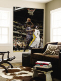 Charlotte Bobcats v Indiana Pacers: Kwame Brown and James Posey Vægplakat af Ron Hoskins