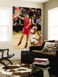 Houston Rockets v Charlotte Bobcats: Luis Scola and Boris Diaw Wall Mural by Kent Smith