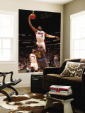 Charlotte Bobcats v Miami Heat: Dwyane Wade and Sherron Collins Wall Mural by Victor Baldizon