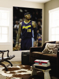 Denver Nuggets v Charlotte Bobcats: Carmelo Anthony Wall Mural by Streeter Unknown