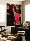 Toronto Raptors v New York Knicks: Amir Johnson Wall Mural by Ray Amati