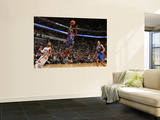 New York Knicks v Charlotte Bobcats: Toney Douglas Wall Mural by Brock Williams-Smith