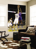 New York Knicks v Golden State Warriors: Amar'e Stoudemire and Vladimir Radmanovic Wall Mural by Ezra Shaw