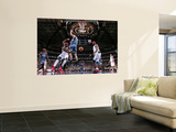 Minnesota Timberwolves v Dallas Mavericks: Jason Terry, Brendan Haywood and Darko Milicic Wall Mural by Glenn James