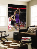 Sacramento Kings v Houston Rockets: Carl Landry and Luis Scola Wall Mural by Bill Baptist