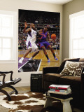 New York Knicks v Sacramento Kings: Amare Stoudemire and Darnell Jackson Wall Mural by Rocky Widner