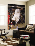 Houston Rockets v Dallas Mavericks: Brendan Haywood Wall Mural by Danny Bollinger