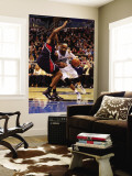 Atlanta Hawks v Orlando Magic: Vince Carter and Jason Collins Wall Mural by Sam Greenwood