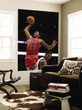 Chicago Bulls v Phoenix Suns: James Johnson and Channing Frye Wall Mural by Christian Petersen