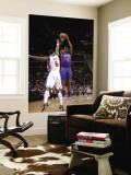 New York Knicks v Detroit Pistons: Amar'e Stoudemire and Ben Wallace Wall Mural by Allen Einstein