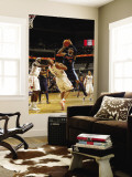 Denver Nuggets v Charlotte Bobcats: Boris Diaw and Carmelo Anthony Wall Mural by Kent Smith