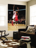Philadelphia 76ers v Toronto Raptors: Louis Williams and Amir Johnson Wall Mural by Ron Turenne