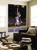Los Angeles Lakers v Detroit Pistons: Pau Gasol and Ben Wallace Wall Mural by Allen Einstein