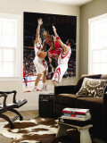 Chicago Bulls v Houston Rockets: Derrick Rose, Brad Miller and Luis Scola Wall Mural by Bill Baptist