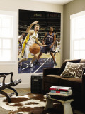 Charlotte Bobcats v Indiana Pacers: Mike Dunleavy and Dominic McGuire Wall Mural by Ron Hoskins