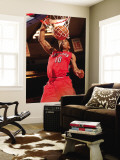 Toronto Raptors v New York Knicks: DeMar DeRozan Wall Mural by Ray Amati