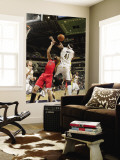 Toronto Raptors v Indiana Pacers: Linas Kleiza and James Posey Wall Mural by Ron Hoskins