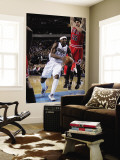 Chicago Bulls v Dallas Mavericks: Jason Terry and Kyle Korver Wall Mural by Danny Bollinger