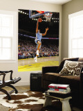Denver Nuggets v Golden State Warriors: Aaron Afflalo Wall Mural by Rocky Widner