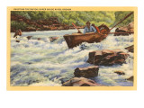 Rapids, Rogue River, Oregon Poster