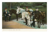 Donkeys in Central Park, New York City Giclee Print