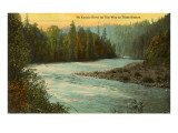 McKenzie River, Oregon Photo