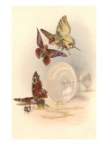 Drunken Butterflies reproduction procédé giclée