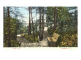 Indian Trail, Watkins Glen, New York Giclee Print