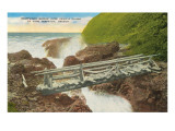 Driftwood Bridge, Devil's Churn, Oregon Prints