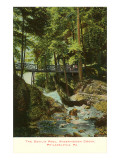 Devil's Pool, Philadelphia, Pennsylvania Prints
