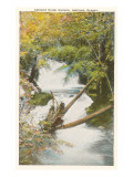 Ashland Creek Canyon, Ashland, Oregon Photo