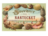 Souvenir from Nantucket, Shells, Massachusetts Giclee Print