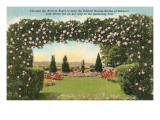 Arch of Roses, Rebecca Statue Hershey, Pennsylvania Lámina giclée Arch of Roses, Rebecca Statue Hershey, Pennsylvania Lámina giclée