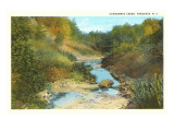 Canadaway Creek, Fredonia, New York Prints