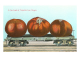 Giant Tomatoes on Flat Bed Giclee Print