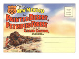 Postcard Folder, Painted Desert, Petrified Forest Giclee Print
