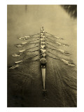 Rowing Crew Kunstdrucke