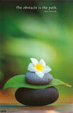 Zen Print