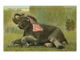 Elephant with Flag, Zoo in Cleveland, Ohio Affiches