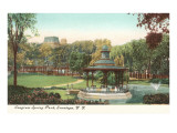 Congress Spring Park, Saratoga, New York Posters