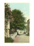Flora Street, Nantucket, Massachusetts Posters
