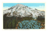Phlox on Mt. Rainier, Washington Giclee Print