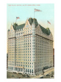 Plaza Hotel, New York City Poster