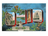 Greetings from Ohio Giclee Print