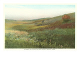 Sunset in the Hills, Nantucket, Massachusetts Poster