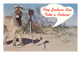Any Jackass Can Take a Picture Giclee Print